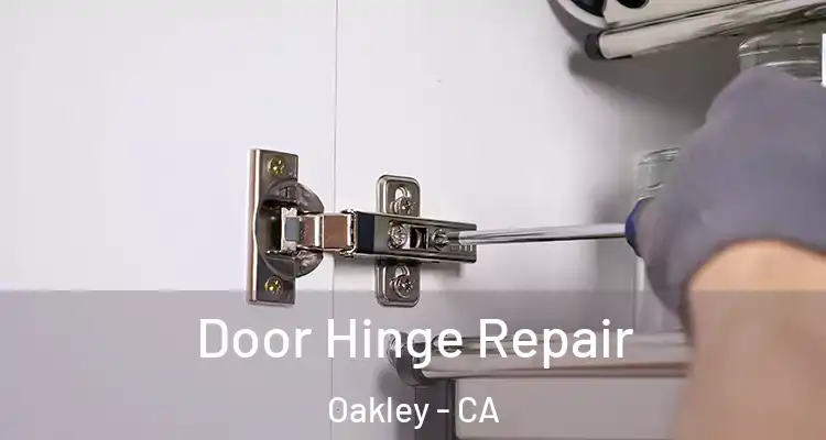  Door Hinge Repair Oakley - CA