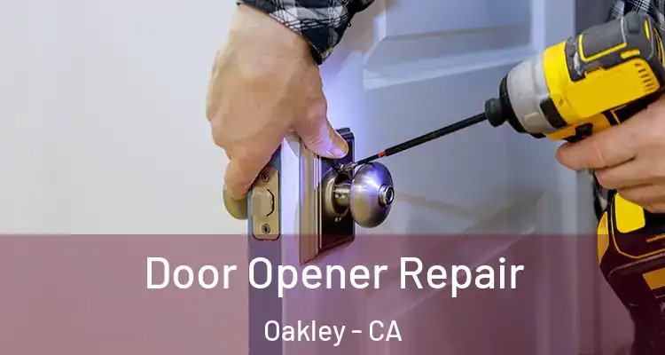  Door Opener Repair Oakley - CA