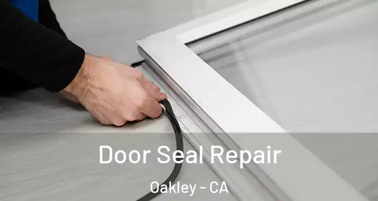  Door Seal Repair Oakley - CA
