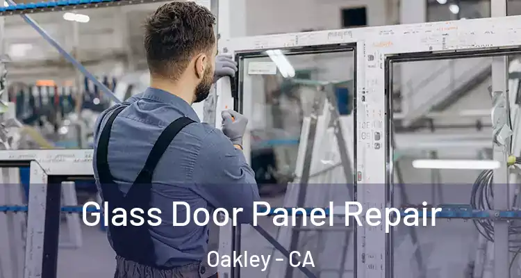  Glass Door Panel Repair Oakley - CA