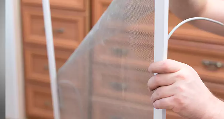Privacy Mesh Screen Door Installation in Oakley, CA