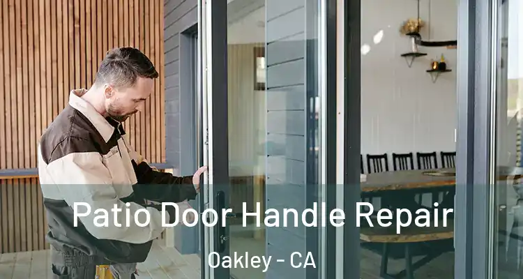  Patio Door Handle Repair Oakley - CA