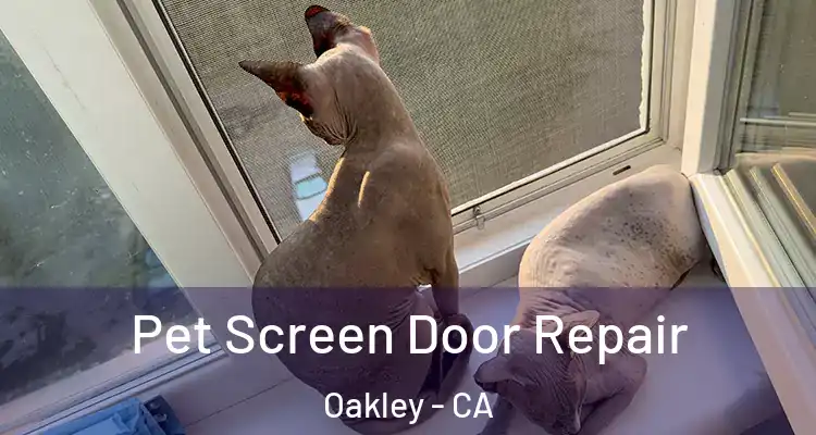  Pet Screen Door Repair Oakley - CA
