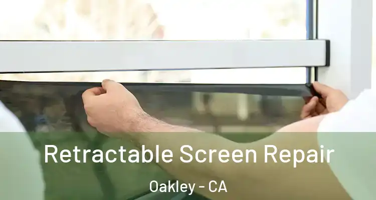  Retractable Screen Repair Oakley - CA
