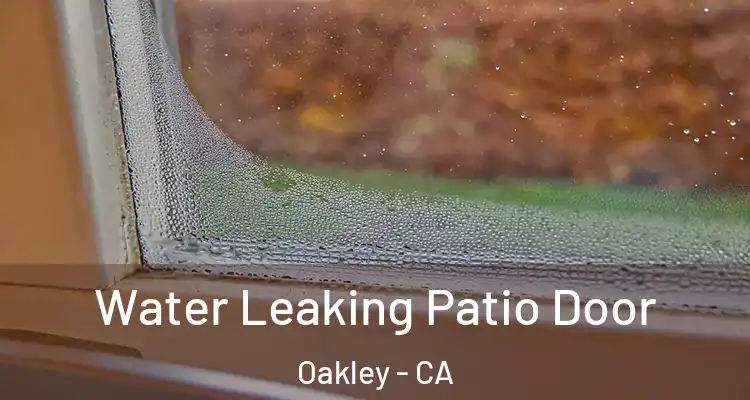  Water Leaking Patio Door Oakley - CA